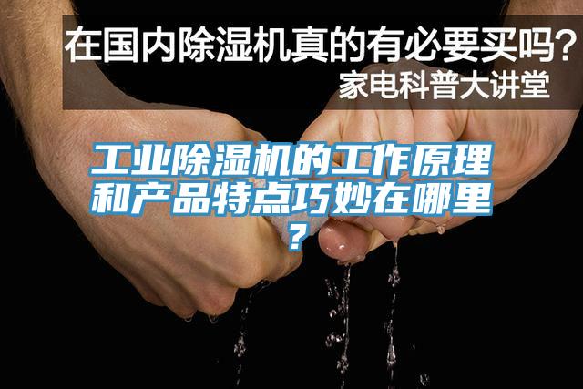 工業(yè)除濕機的工作原理和產(chǎn)品特點巧妙在哪里？