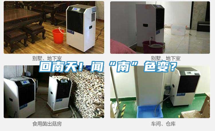 回南天！聞“南”色變？