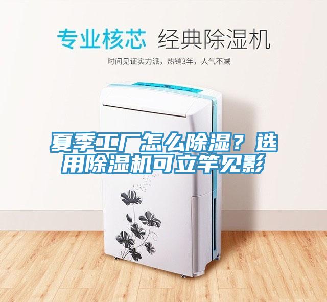 夏季工廠怎么除濕？選用除濕機(jī)可立竿見影