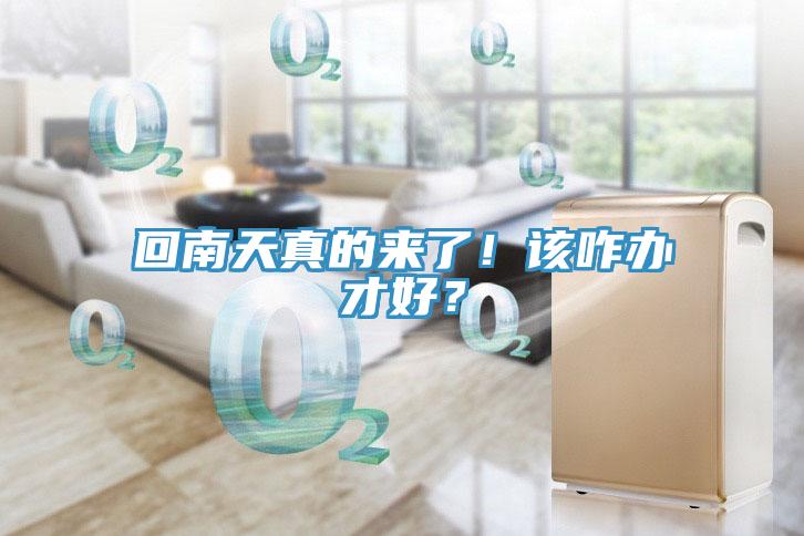 回南天真的來(lái)了！該咋辦才好？