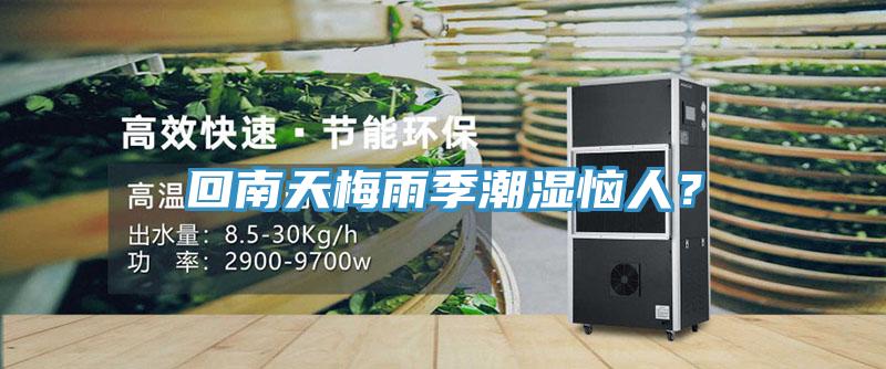 回南天梅雨季潮濕惱人？