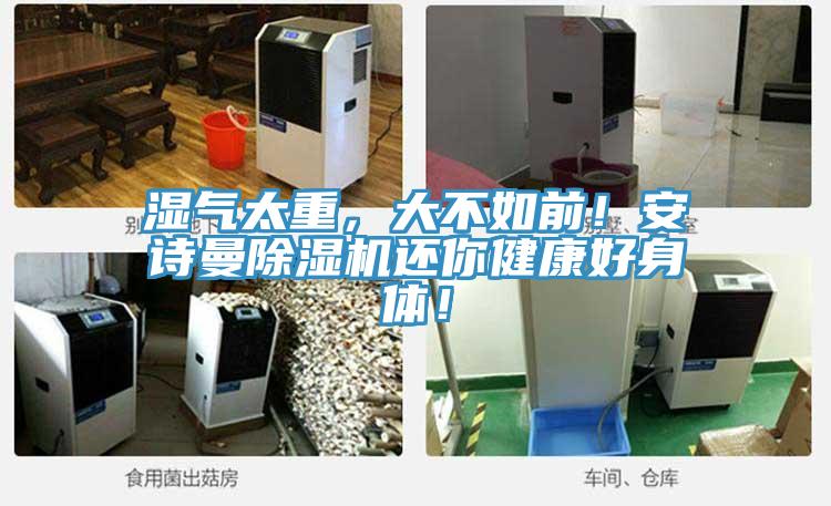 濕氣太重，大不如前！安詩曼除濕機(jī)還你健康好身體！