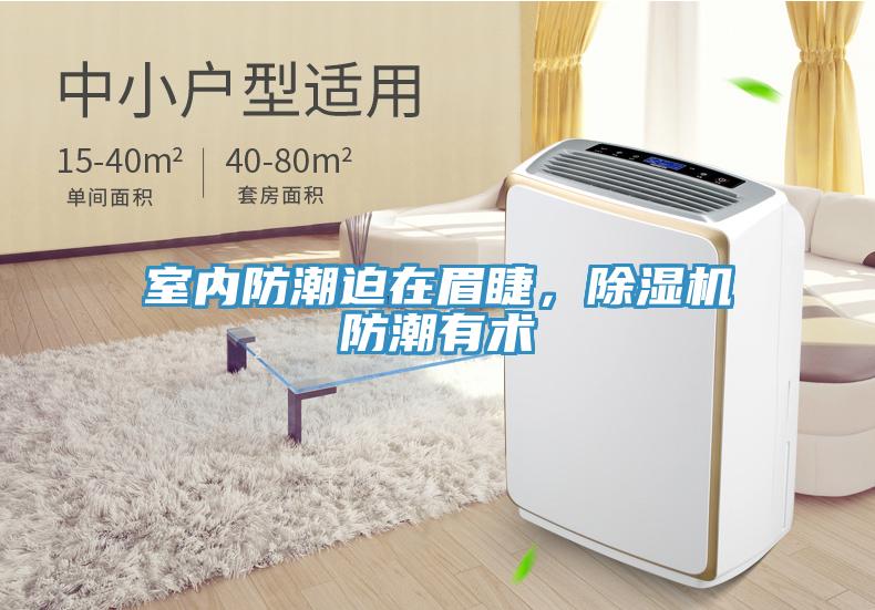 室內(nèi)防潮迫在眉睫，除濕機(jī)防潮有術(shù)