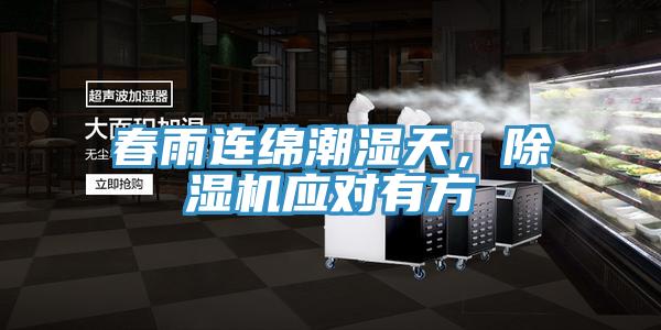 春雨連綿潮濕天，除濕機應對有方
