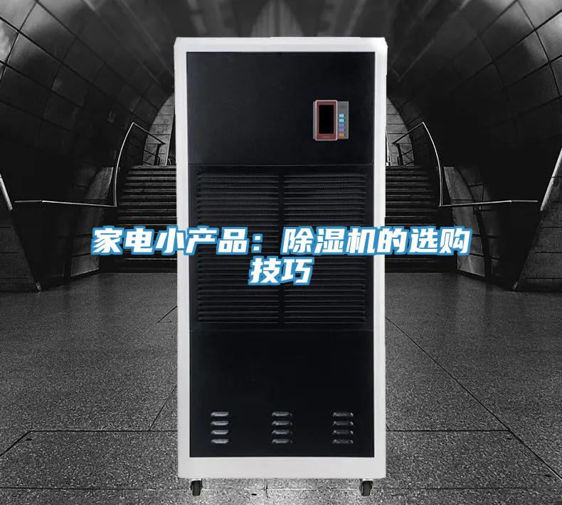 家電小產(chǎn)品:除濕機(jī)的選購技巧