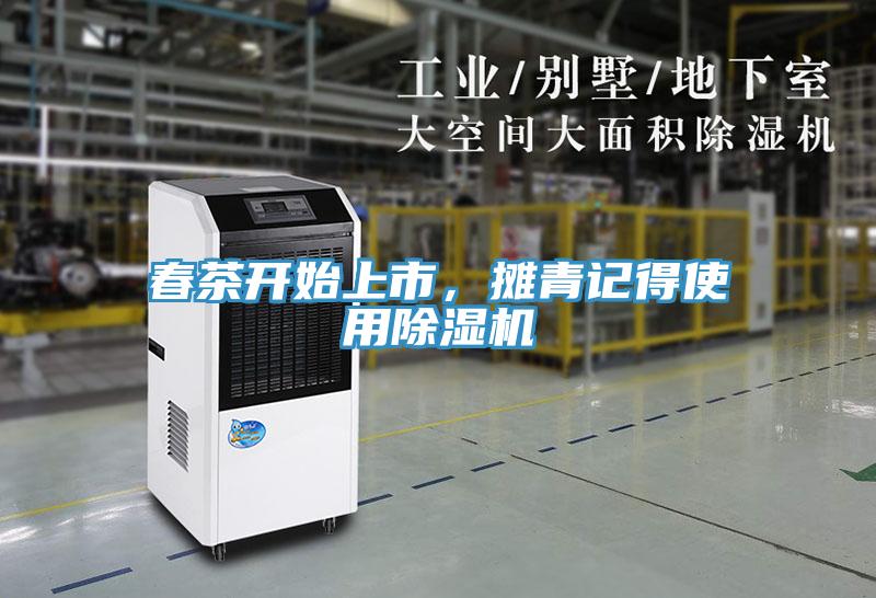 春茶開始上市，攤青記得使用除濕機(jī)
