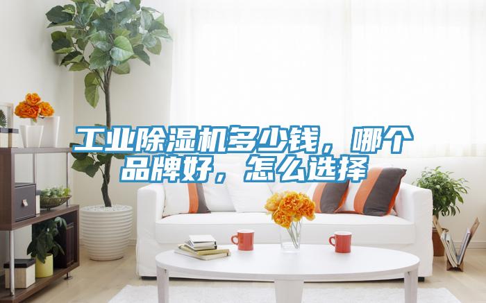 工業(yè)除濕機(jī)多少錢，哪個品牌好，怎么選擇