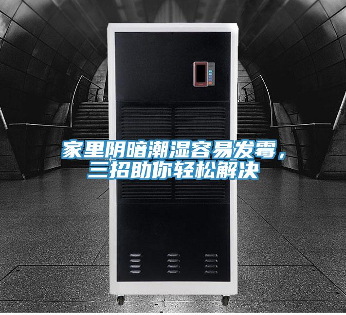 家里陰暗潮濕容易發(fā)霉，三招助你輕松解決