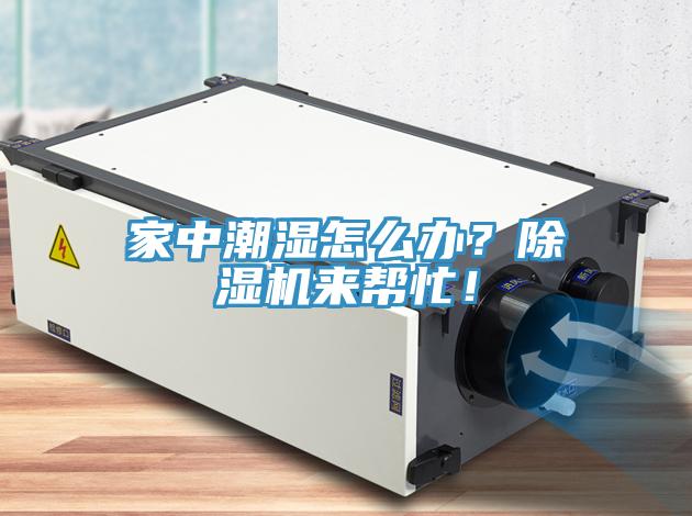 家中潮濕怎么辦？除濕機(jī)來(lái)幫忙！