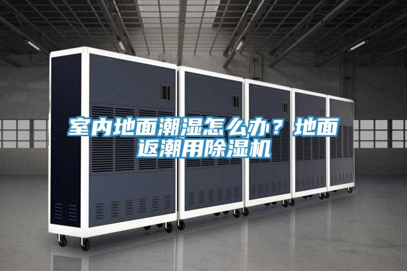室內(nèi)地面潮濕怎么辦？地面返潮用除濕機(jī)