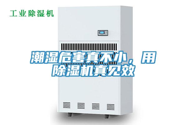 潮濕危害真不小，用除濕機(jī)真見效