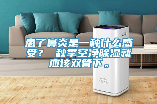 患了鼻炎是一種什么感受？ 秋季空凈除濕就應(yīng)該雙管下。