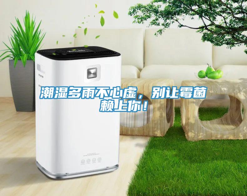 潮濕多雨不心虛，別讓霉菌賴上你！