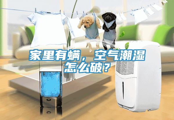 家里有螨，空氣潮濕怎么破？