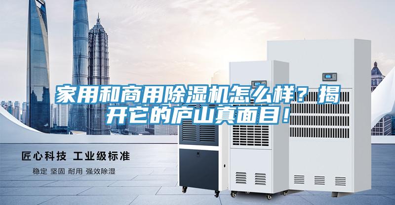 家用和商用除濕機(jī)怎么樣？揭開它的廬山真面目！