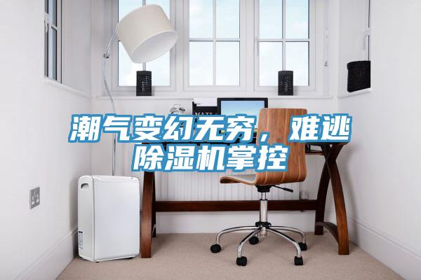 潮氣變幻無(wú)窮，難逃除濕機(jī)掌控