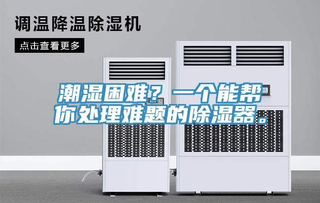潮濕困難？一個(gè)能幫你處理難題的除濕器。