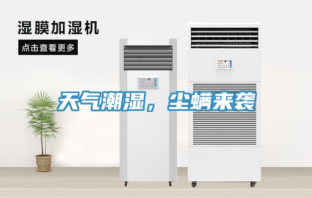 天氣潮濕，塵螨來襲