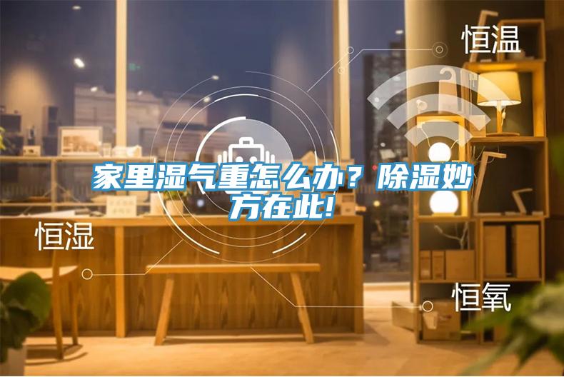 家里濕氣重怎么辦？除濕妙方在此!