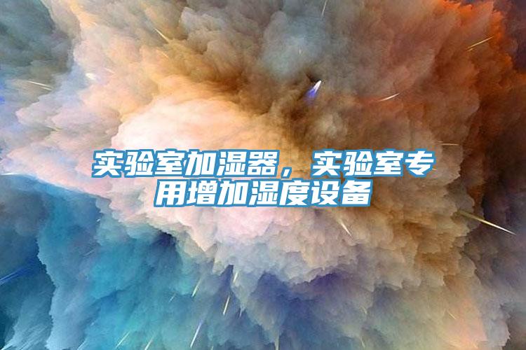 實(shí)驗(yàn)室加濕器，實(shí)驗(yàn)室專用增加濕度設(shè)備