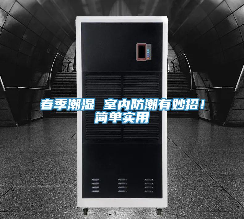 春季潮濕 室內(nèi)防潮有妙招！簡單實用