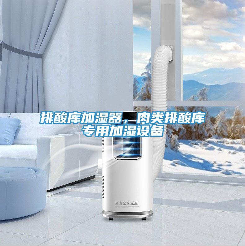 排酸庫加濕器，肉類排酸庫專用加濕設(shè)備
