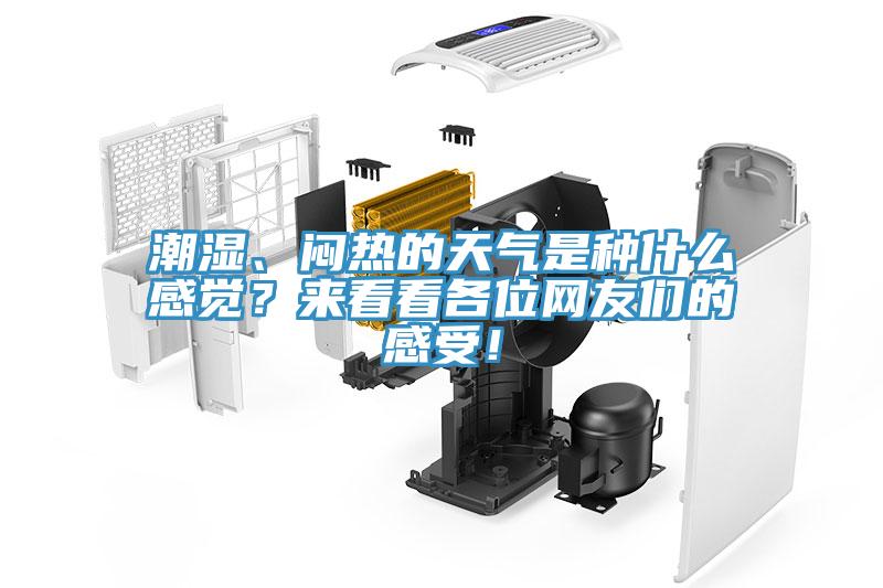 潮濕、悶熱的天氣是種什么感覺？來看看各位網(wǎng)友們的感受！