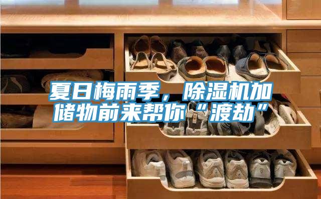 夏日梅雨季，除濕機加儲物前來幫你“渡劫”