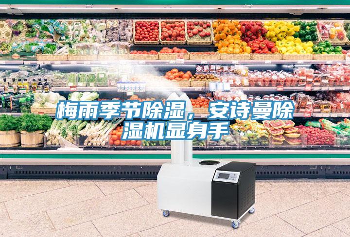 梅雨季節(jié)除濕，安詩(shī)曼除濕機(jī)顯身手