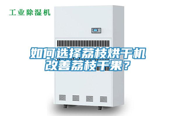 如何選擇荔枝烘干機(jī)改善荔枝干果？
