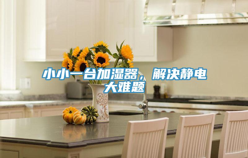小小一臺加濕器，解決靜電大難題