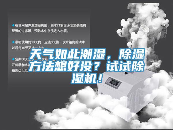 天氣如此潮濕，除濕方法想好沒(méi)？試試除濕機(jī)！