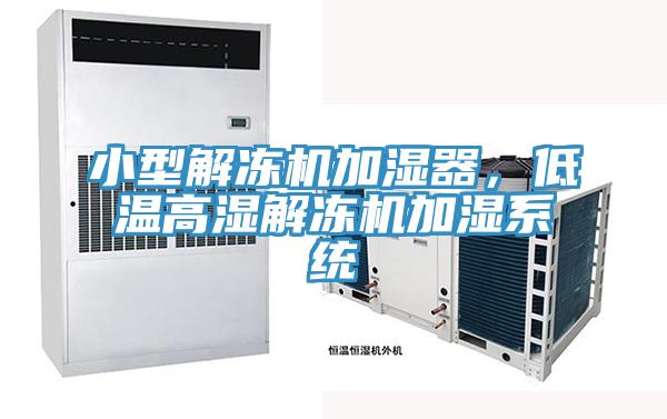 小型解凍機加濕器，低溫高濕解凍機加濕系統(tǒng)