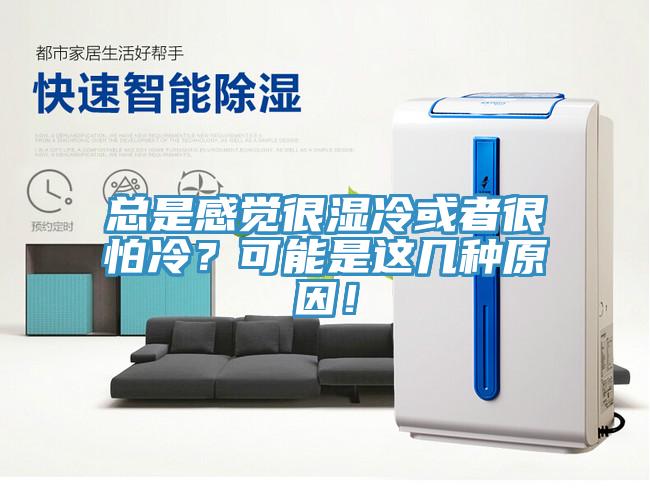 總是感覺很濕冷或者很怕冷？可能是這幾種原因！