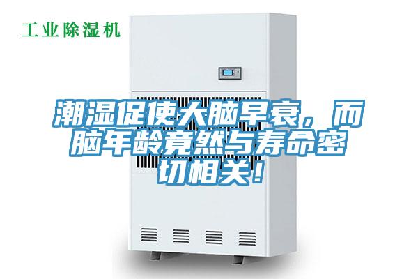 潮濕促使大腦早衰，而腦年齡竟然與壽命密切相關(guān)！