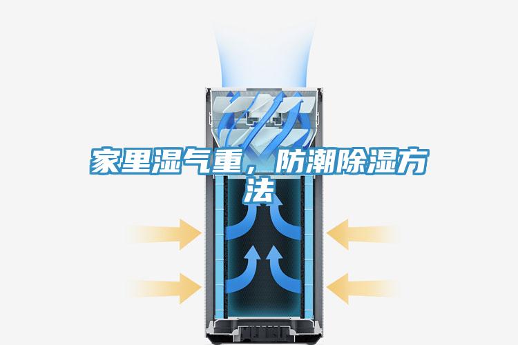 家里濕氣重，防潮除濕方法