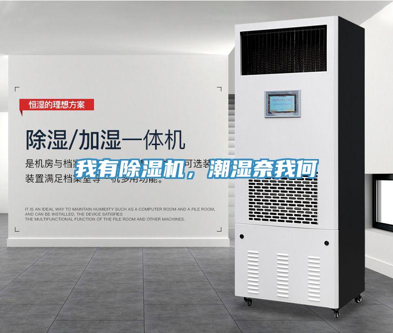 我有除濕機(jī)，潮濕奈我何