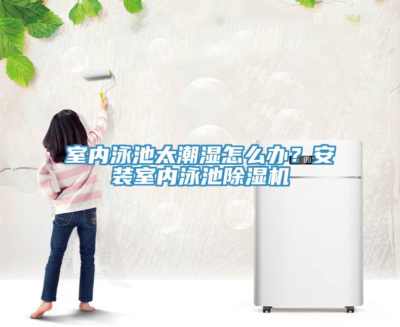 室內(nèi)泳池太潮濕怎么辦？安裝室內(nèi)泳池除濕機(jī)