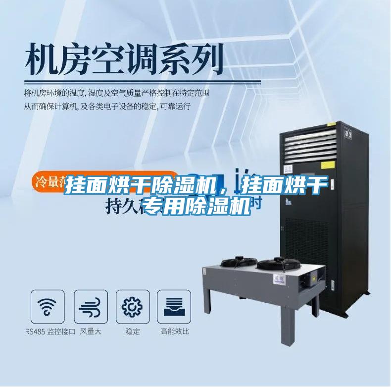 掛面烘干除濕機(jī)，掛面烘干專(zhuān)用除濕機(jī)