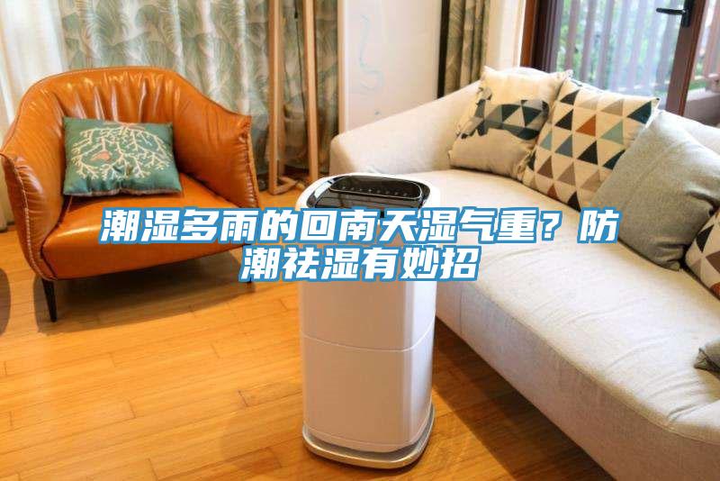 潮濕多雨的回南天濕氣重？防潮祛濕有妙招
