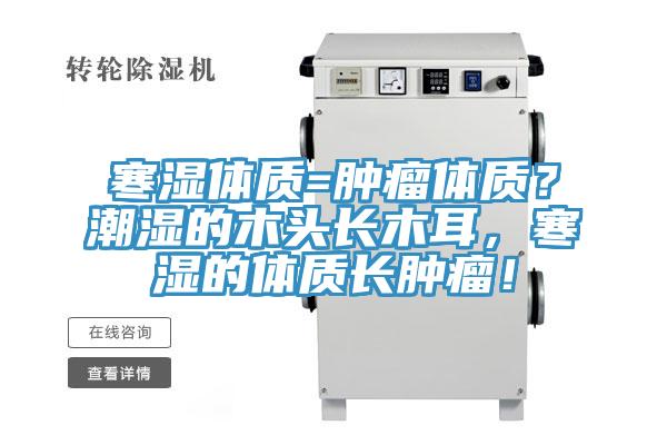 寒濕體質(zhì)=腫瘤體質(zhì)？潮濕的木頭長木耳，寒濕的體質(zhì)長腫瘤！