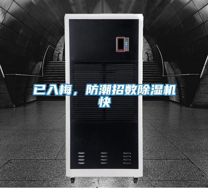 已入梅，防潮招數(shù)除濕機快