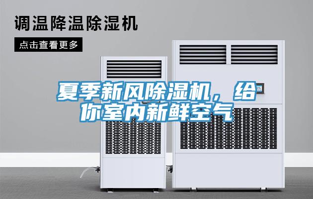 夏季新風除濕機，給你室內(nèi)新鮮空氣