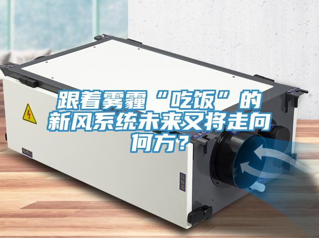 跟著霧霾“吃飯”的新風系統(tǒng)未來又將走向何方？