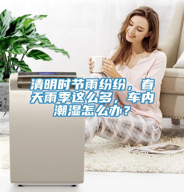 清明時(shí)節(jié)雨紛紛，春天雨季這么多，車內(nèi)潮濕怎么辦？