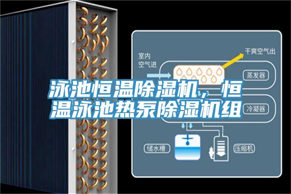 泳池恒溫除濕機(jī)，恒溫泳池?zé)岜贸凉駲C(jī)組