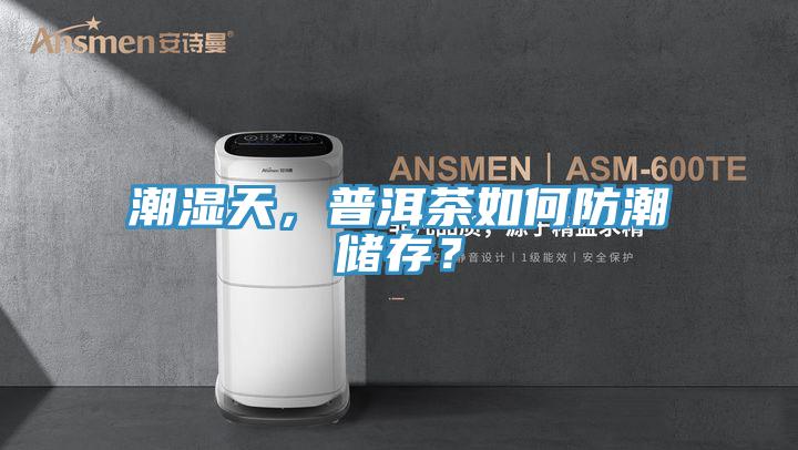 潮濕天，普洱茶如何防潮儲存？