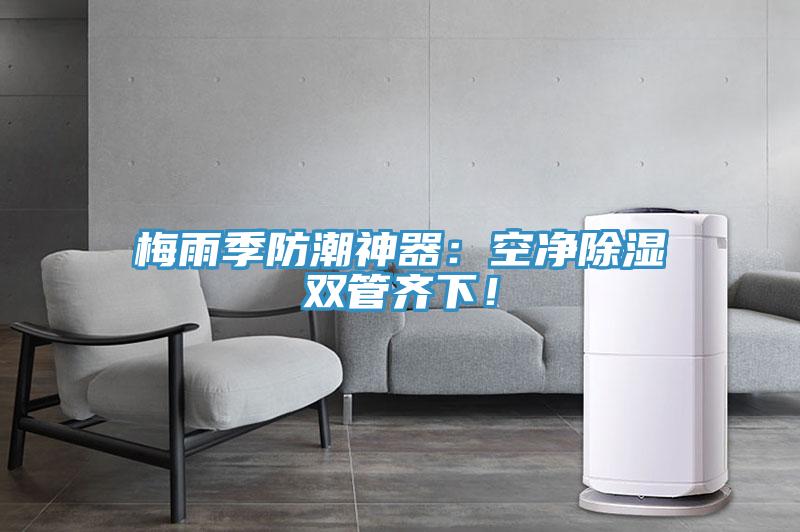 梅雨季防潮神器：空凈除濕雙管齊下！