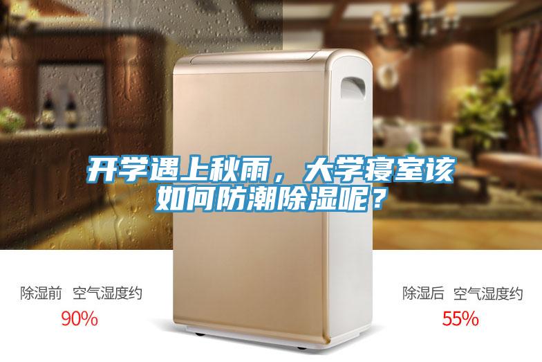 開學(xué)遇上秋雨，大學(xué)寢室該如何防潮除濕呢？