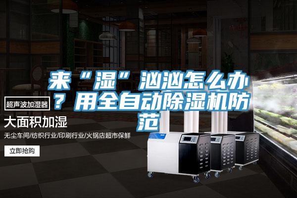 來“濕”洶洶怎么辦？用全自動除濕機防范